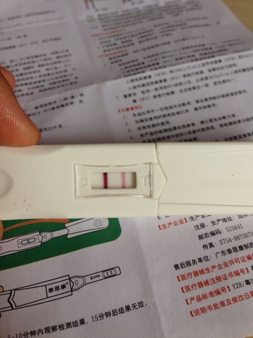 journal_insert_pic_273059574