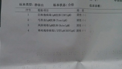 journal_insert_pic_273714327