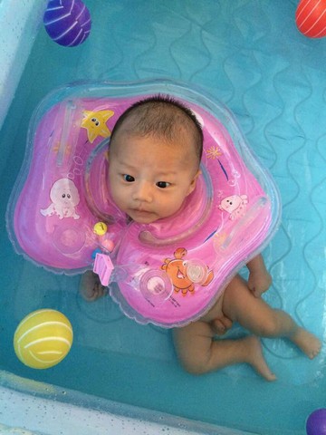 journal_insert_pic_274047177