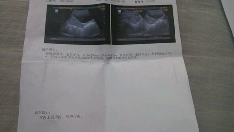 journal_insert_pic_273714291
