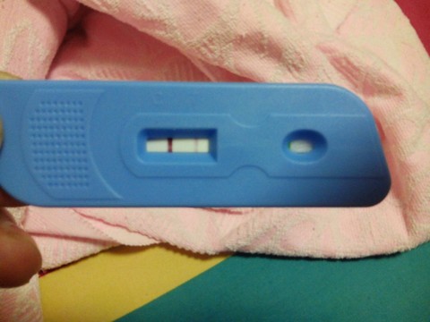 journal_insert_pic_274203702