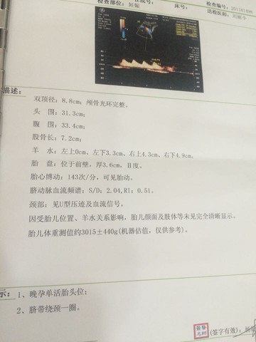 journal_insert_pic_274589919