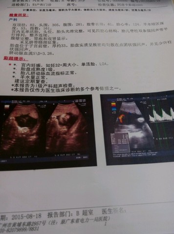 journal_insert_pic_275090823