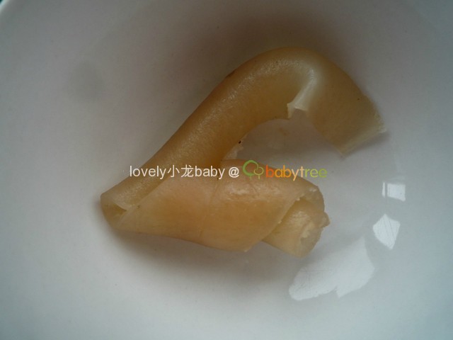 journal_insert_pic_275853942