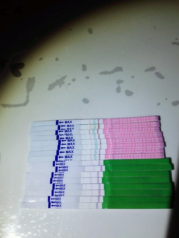 journal_insert_pic_276683594