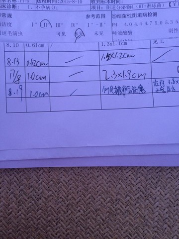 journal_insert_pic_276995322