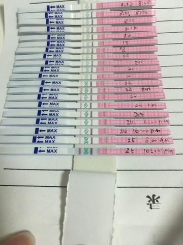 journal_insert_pic_278085006