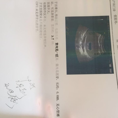 journal_insert_pic_279227423