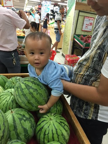 journal_insert_pic_281016335