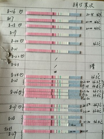 journal_insert_pic_281250684