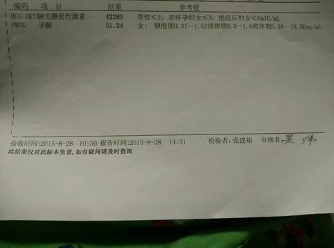 journal_insert_pic_281102360