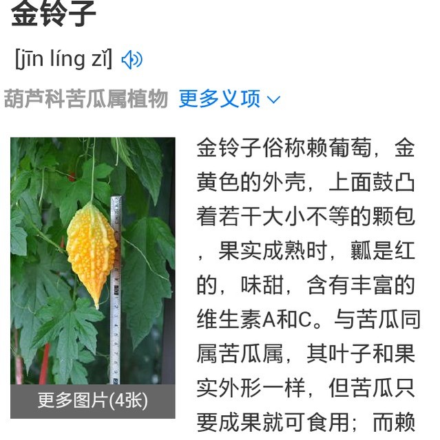 猜猜这是什么水果?