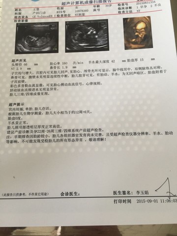 journal_insert_pic_285648039
