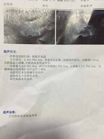 journal_insert_pic_286539018