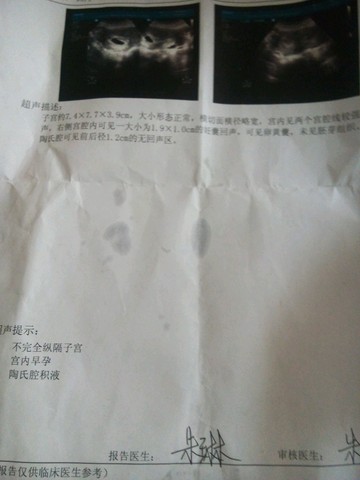 journal_insert_pic_288269088