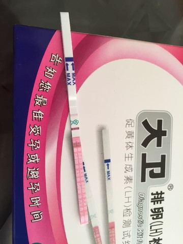 journal_insert_pic_289109461