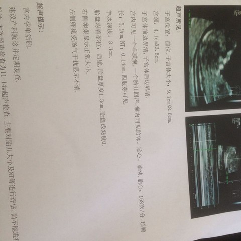 journal_insert_pic_289973658