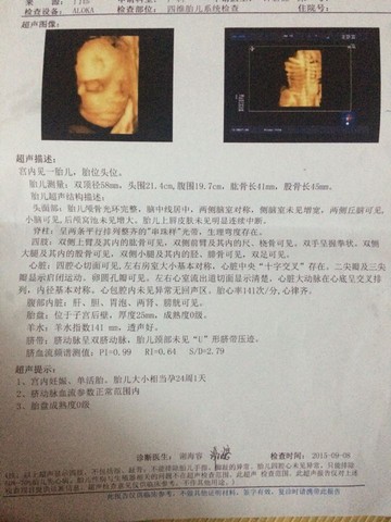 journal_insert_pic_291153119