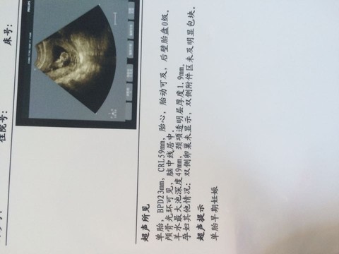 journal_insert_pic_292298446