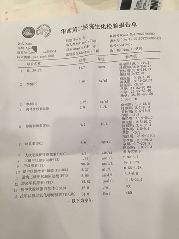 journal_insert_pic_292213830