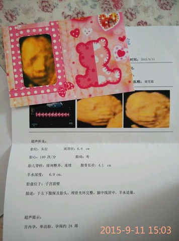 journal_insert_pic_293276138