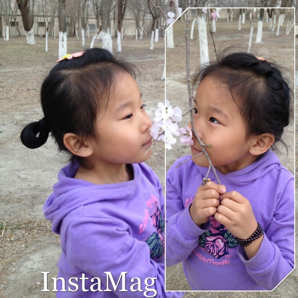 journal_insert_pic_293340546