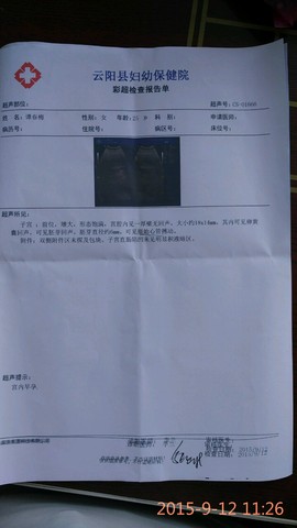journal_insert_pic_294124388