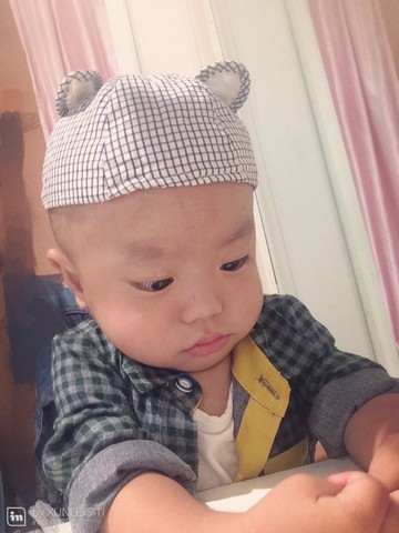 journal_insert_pic_294065537