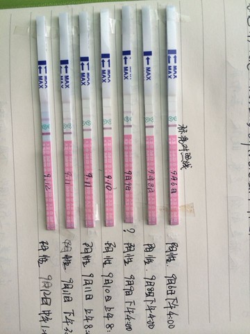 journal_insert_pic_293934521