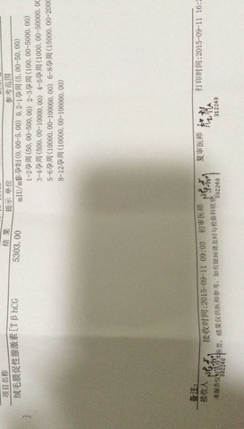 journal_insert_pic_294440529