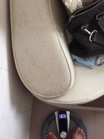 journal_insert_pic_294545017