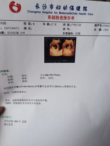 journal_insert_pic_295821703