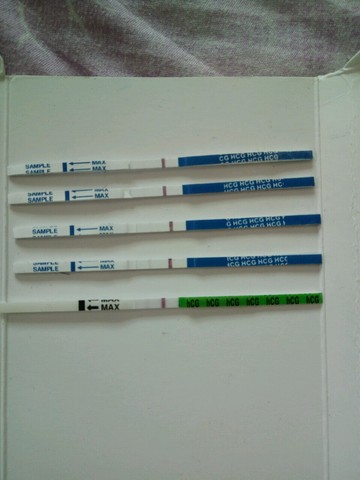 journal_insert_pic_295345615