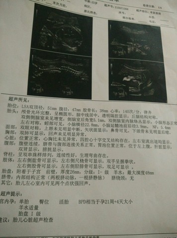 journal_insert_pic_297181130