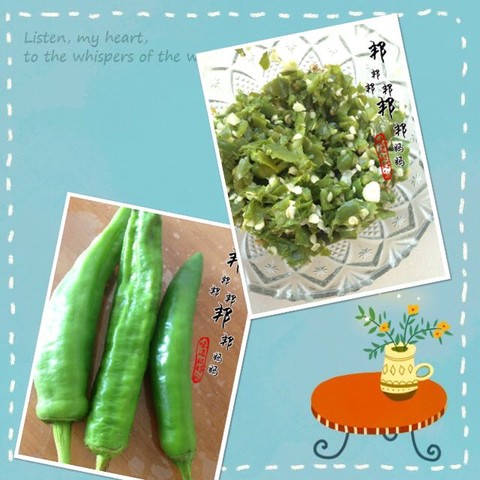 journal_insert_pic_297268839
