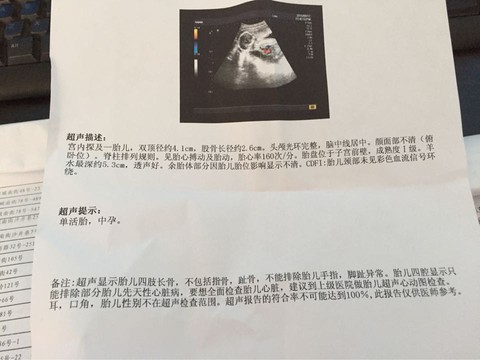 journal_insert_pic_298073876