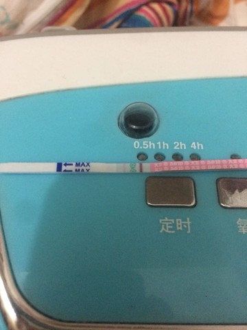 journal_insert_pic_300415740
