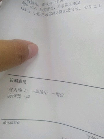 journal_insert_pic_300115829