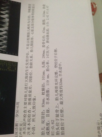 journal_insert_pic_301067424