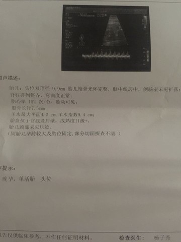 journal_insert_pic_301015395