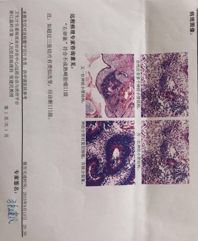 journal_insert_pic_301850839