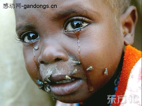 让人震惊的图片,你能坚持看到第几张(有点虐心,矫情着勿入)