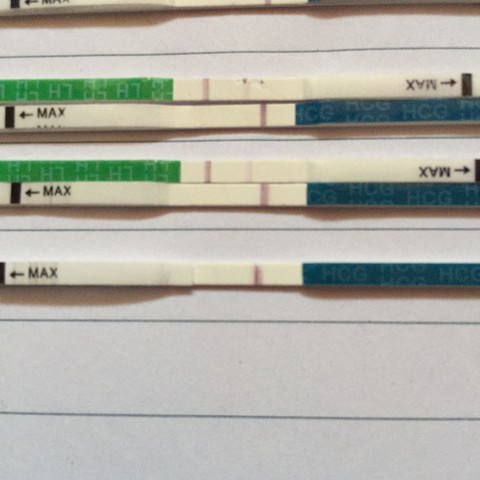 journal_insert_pic_304417584