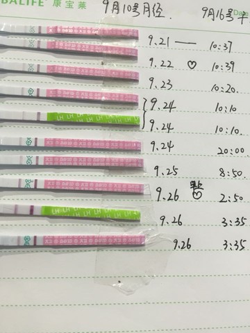 journal_insert_pic_304698169