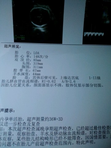 journal_insert_pic_306849103