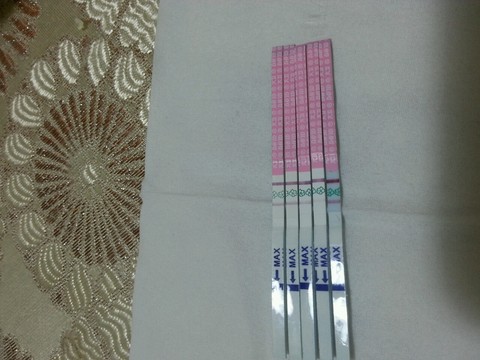 journal_insert_pic_308118938