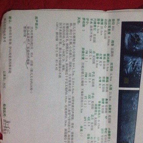 journal_insert_pic_308126427