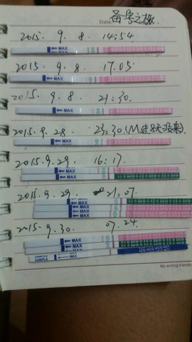 journal_insert_pic_307755684