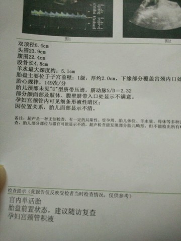 journal_insert_pic_309208224