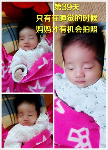 journal_insert_pic_310439023